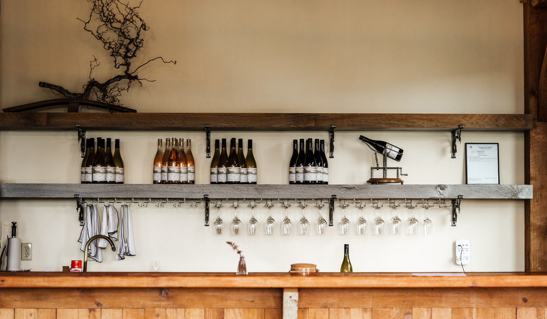 sage-hayward-wine