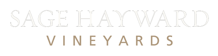 logo light